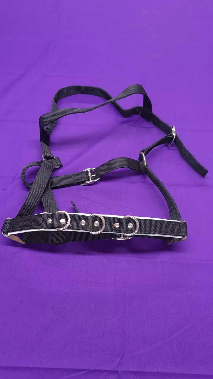 Full Sized Kincade Black Lunging Cavesson Horse Headcollar