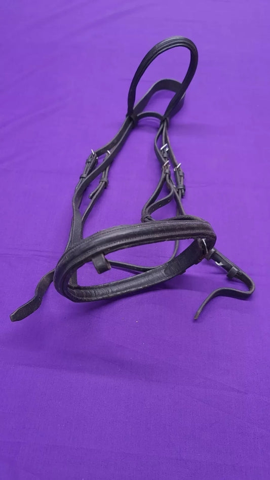 Bridle With Flash Attachment Extra Full Black