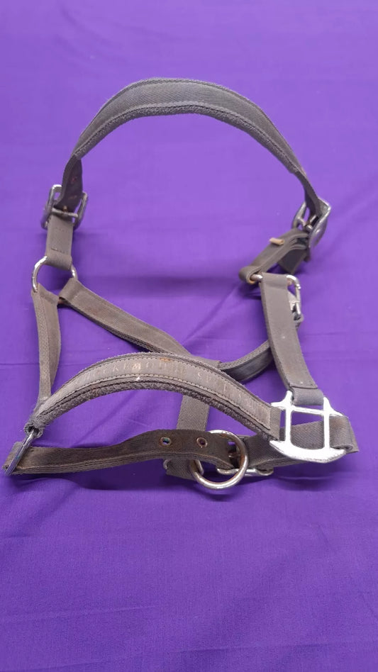 Schockemore Headcollar Grey Cob