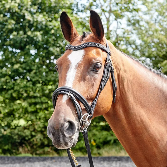 Whitaker Bridle Lynton Snaffle 2 Browbands Full Havana Horse Riding