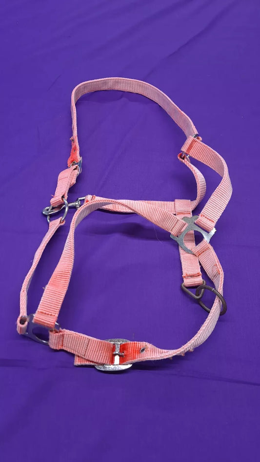 Headcollar Pink Horse Full