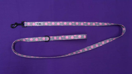 T Bone Collection Tommy Girl Dog Lead Medium