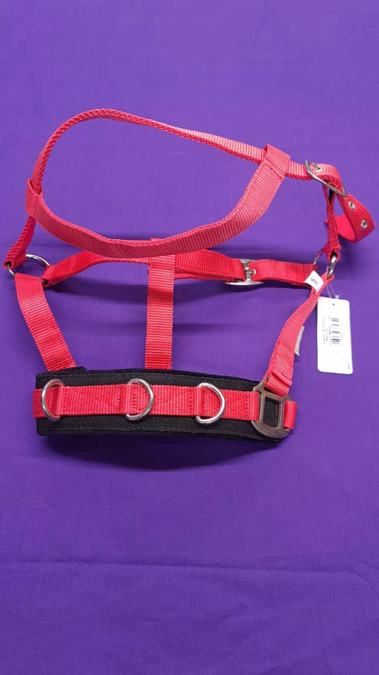 Red Waldhausen Lunging Headcollar Cob