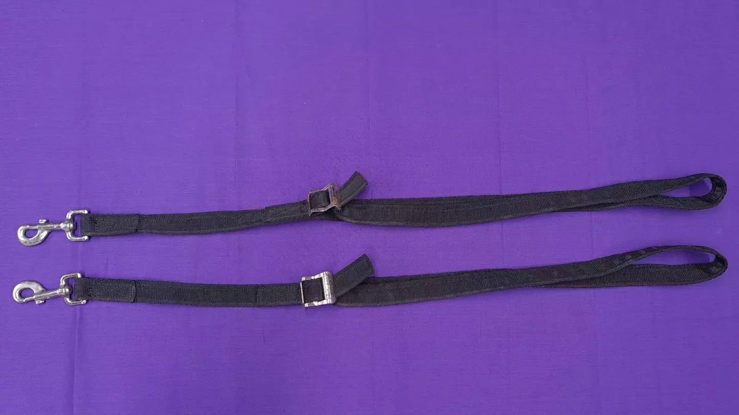 Training Aid Possible Side Reins