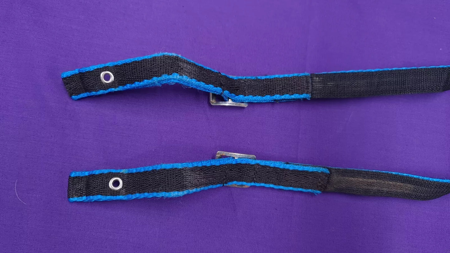 Webbed Reins 60" Black And Blue