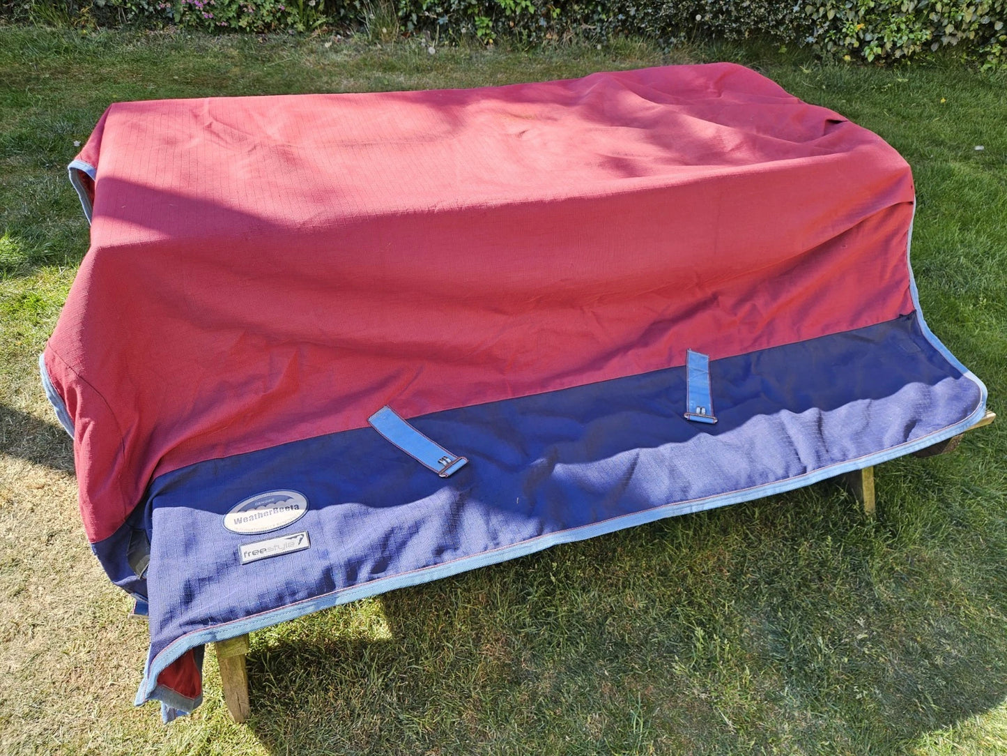 6'3 Weatherbeeta Red & Blue Freestyle Orican High Heavy Horse Turnout Rug RU196