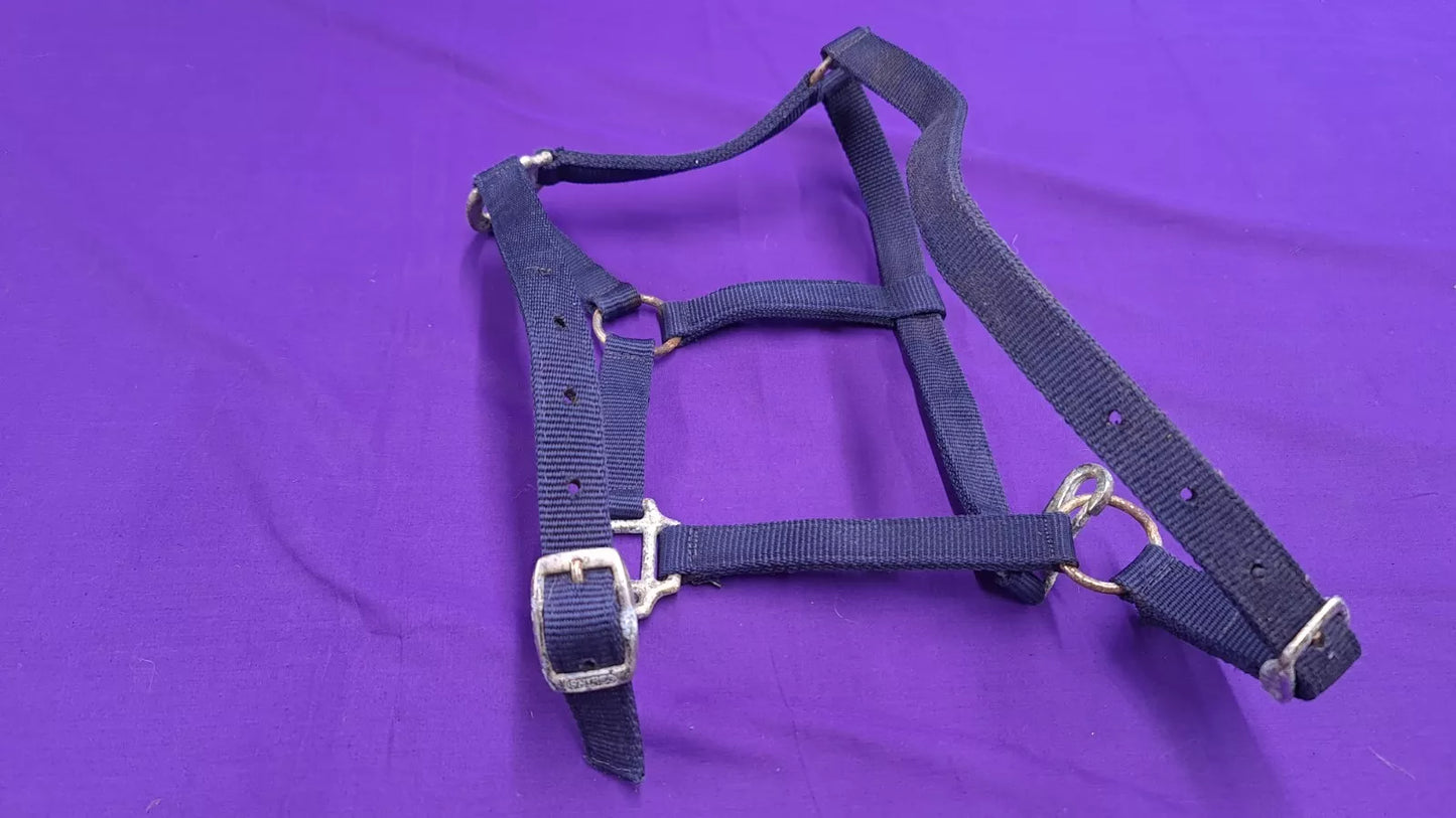 Headcollar Navy Shires Cob