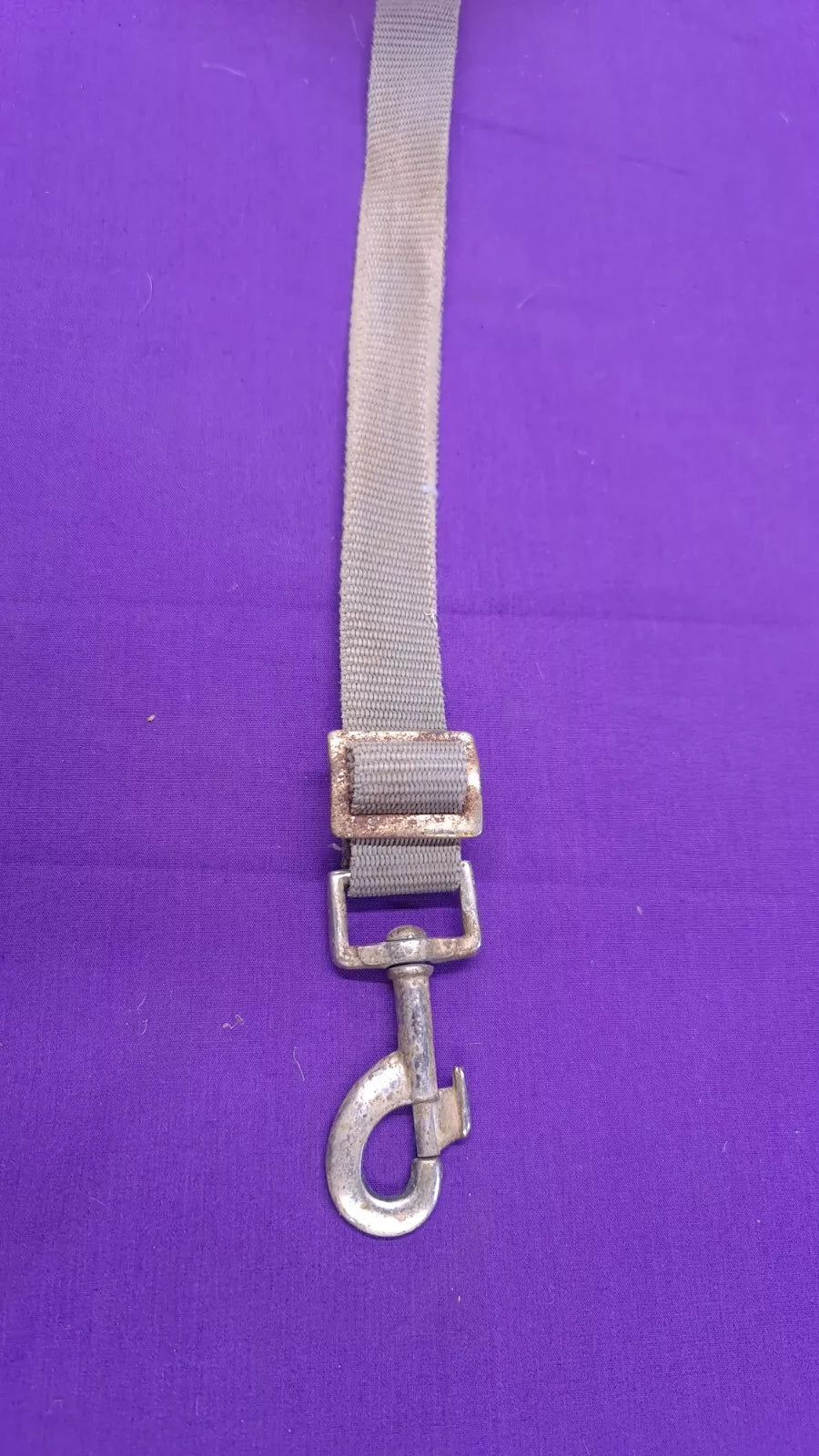 Fillet Strap For A Horse Rug