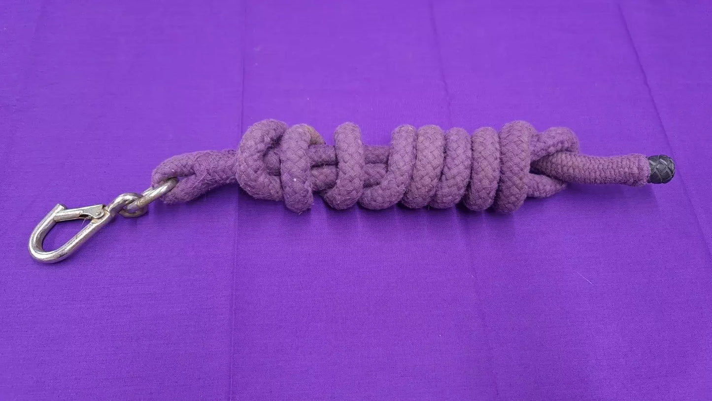 Purple Horse Lead Rope