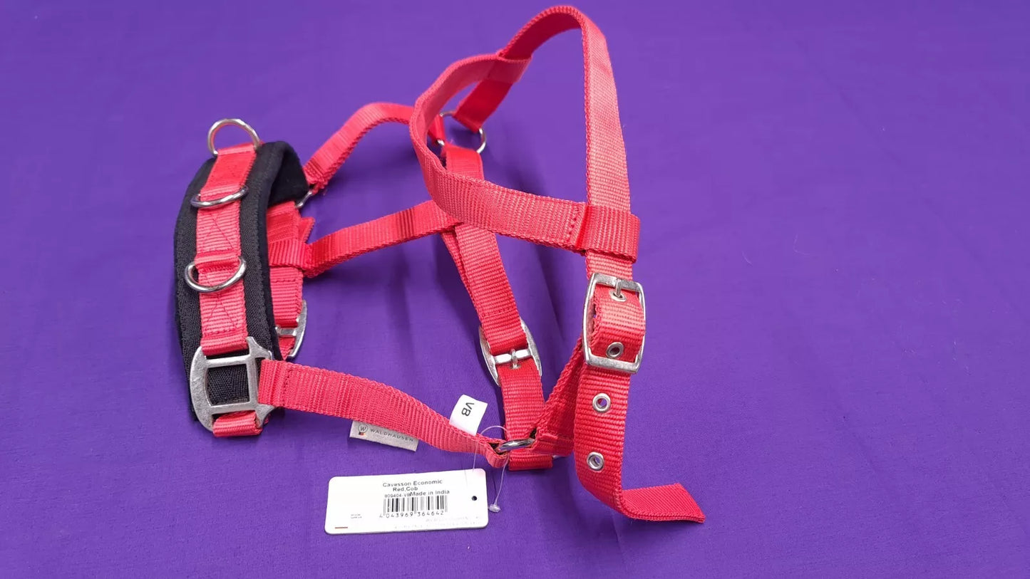 Red Waldhausen Lunging Headcollar Cob