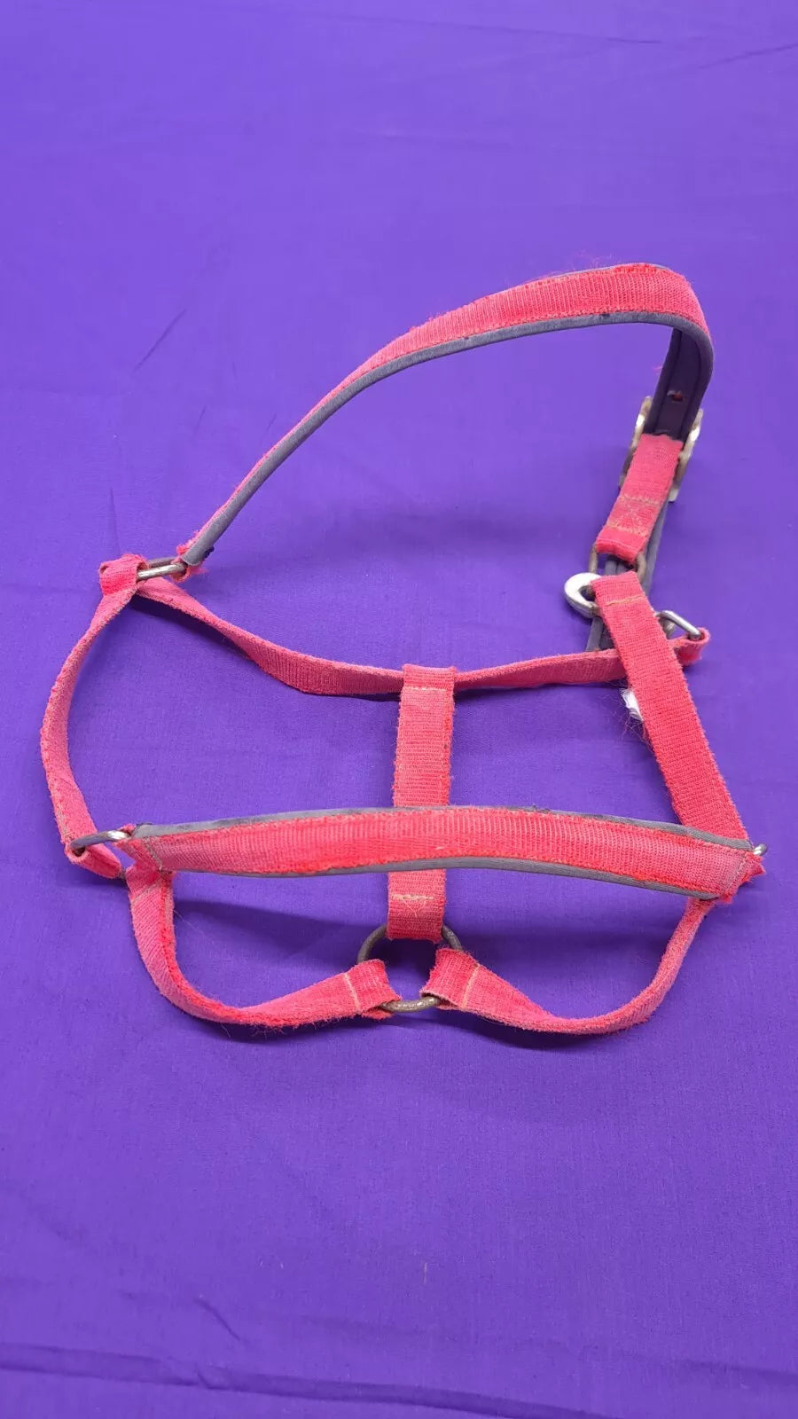 Headcollar Red Full