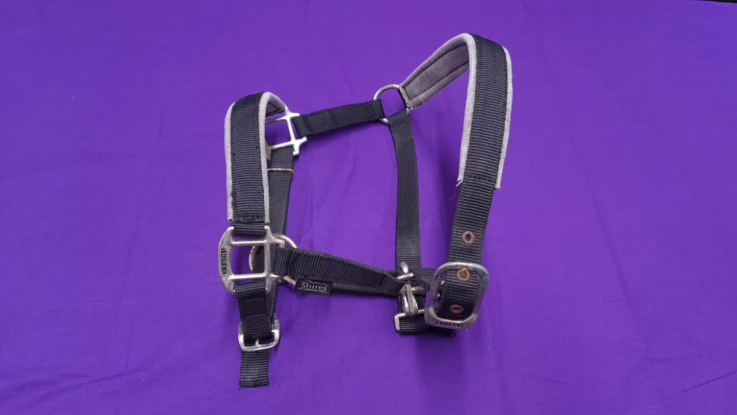 Headcollar Shires Black Pony