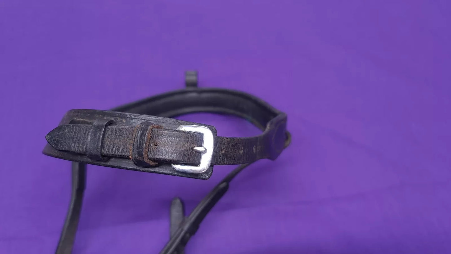 Collegiate Pony Cavesson Bridle With Flash Attachment