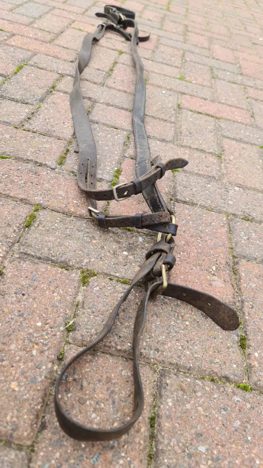 Vintage Driving Harness