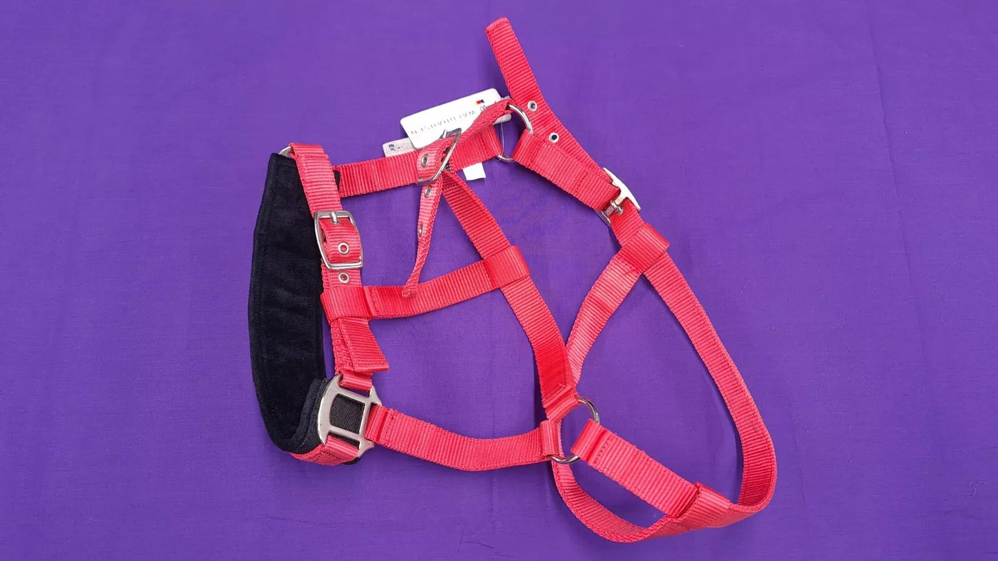 Red Waldhausen Lunging Headcollar Cob