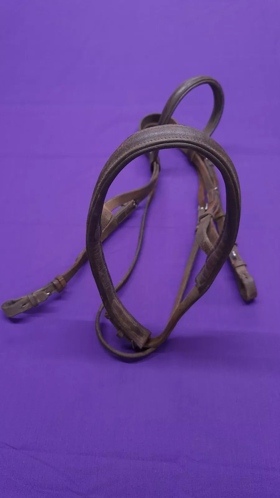 Kincade Brown Full Cavesson Bridle