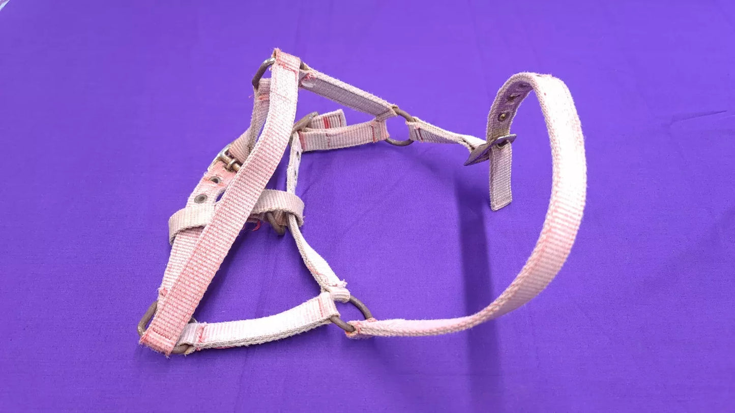 Foal Head Collar Pink