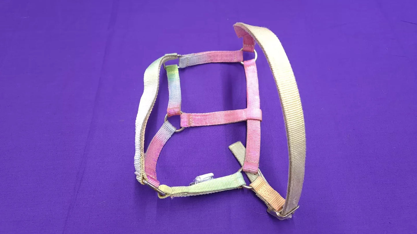 HKM Rainbow Foal Headcollar