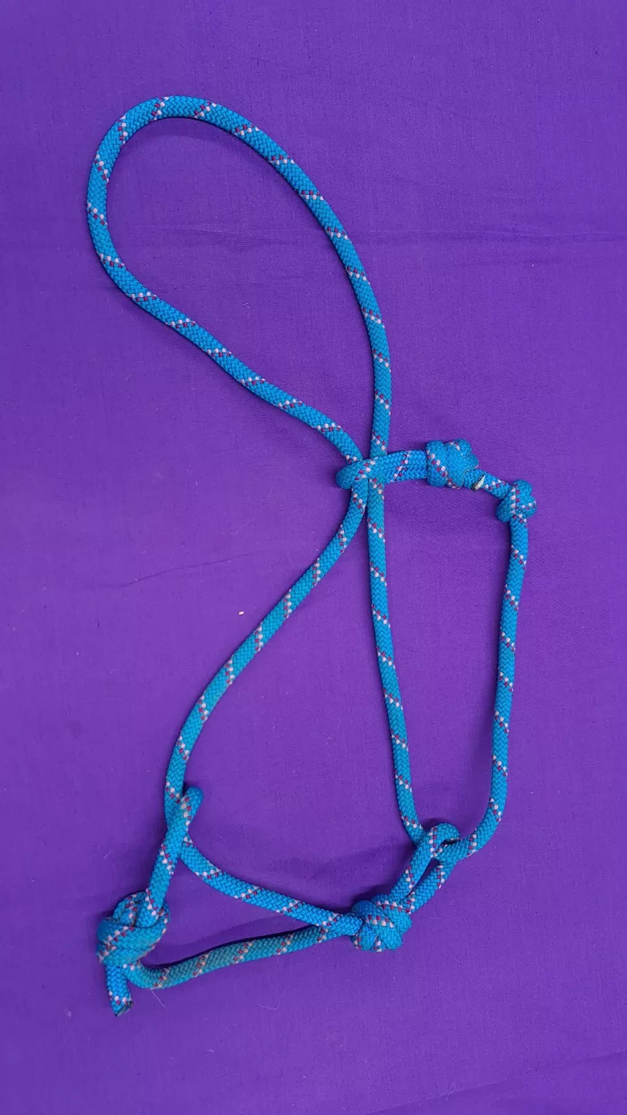 Pony Sized Rope Halter Blue Horse Headcollar