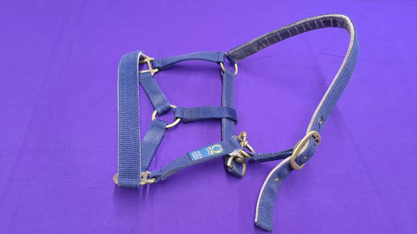 Headcollar Olympian Cob Navy