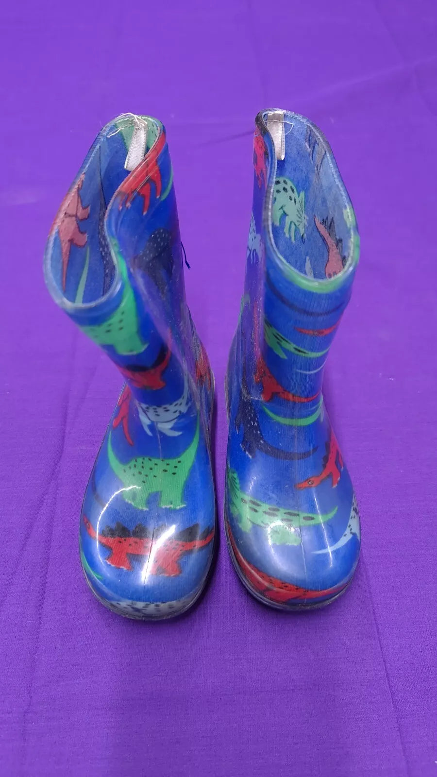 Childrens' Size 6 Wellies Dinosaur