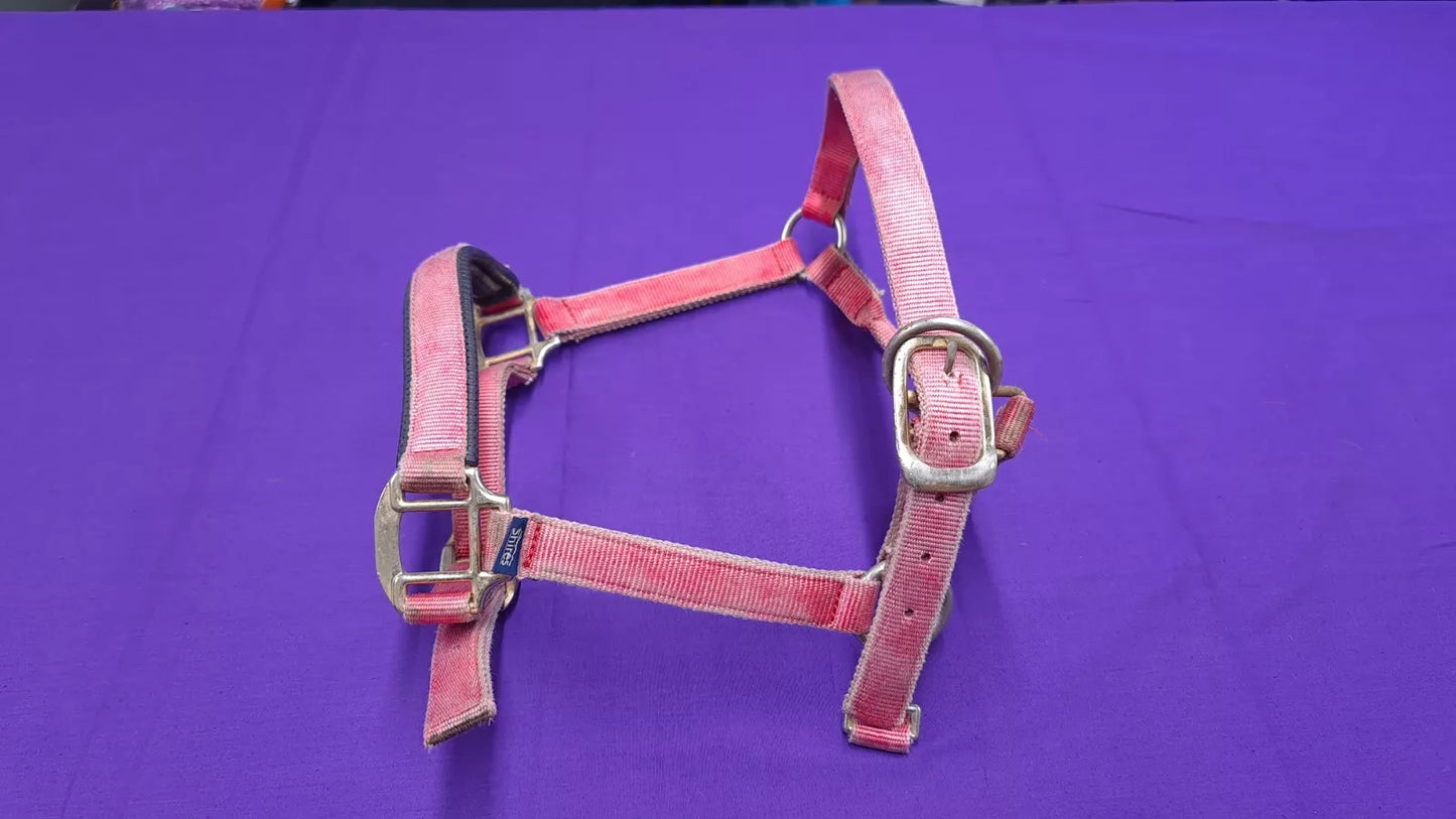 Shires Pink Headcollar Cob