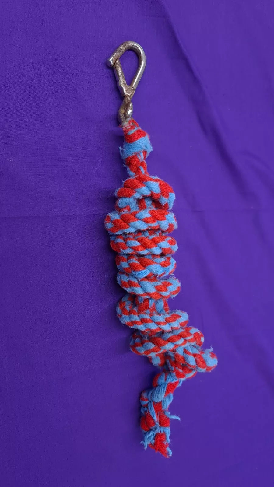 Lead Rope In Baby Blue And Red Horse